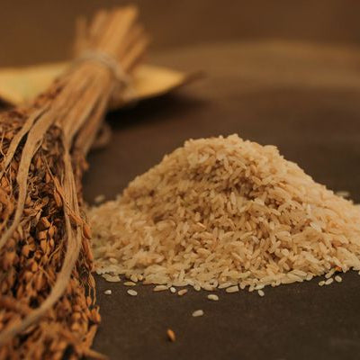 Basava Organics Services